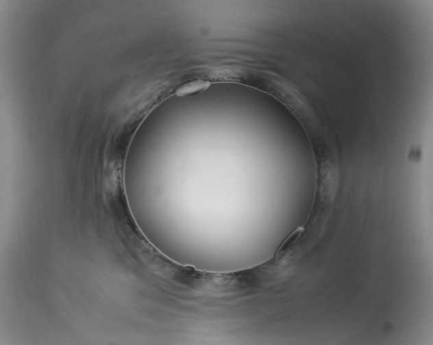 X0000113560329200910021600