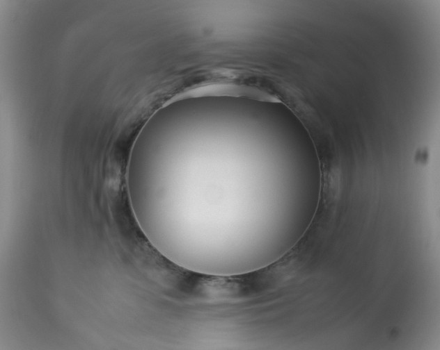 X0000113560331200910021600