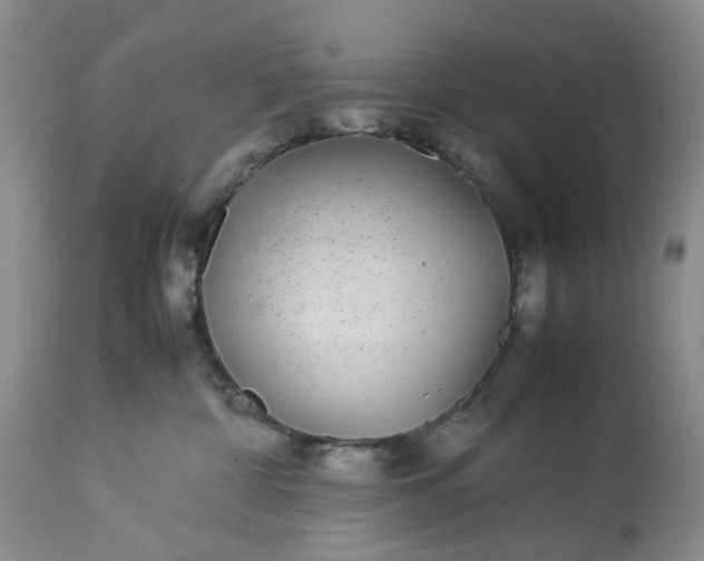 X0000113560332200910021600