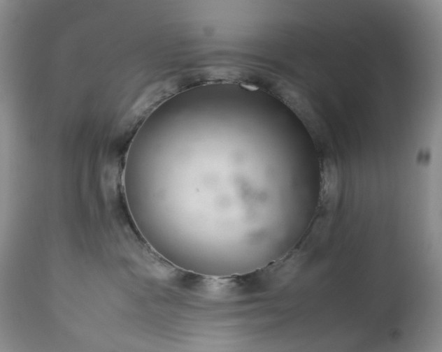 X0000113560333200910021600
