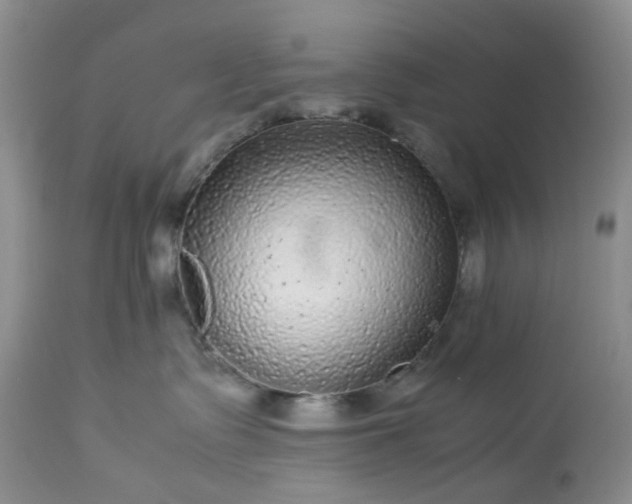 X0000113560335200910021600