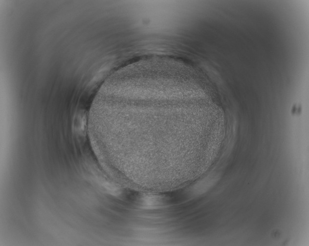 X0000113560336200910021600