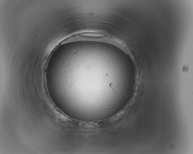 X0000113560337200910021600