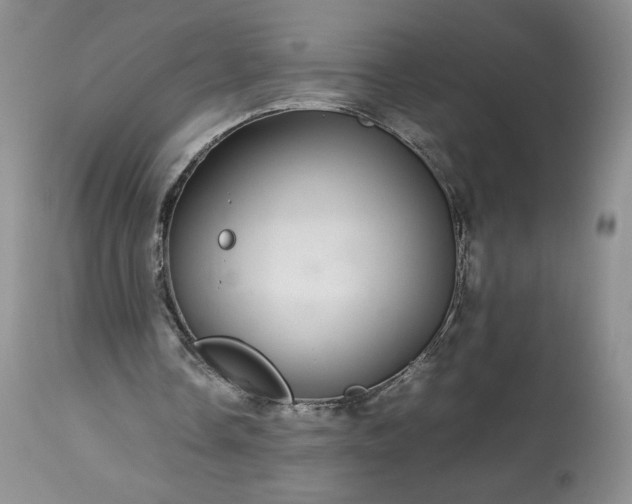 X0000113560338200910021600