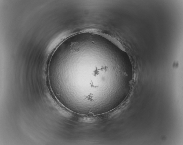 X0000113560341200910021600