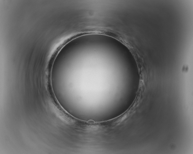 X0000113560342200910021600