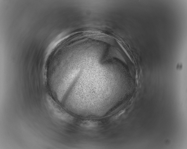 X0000113560343200910021600