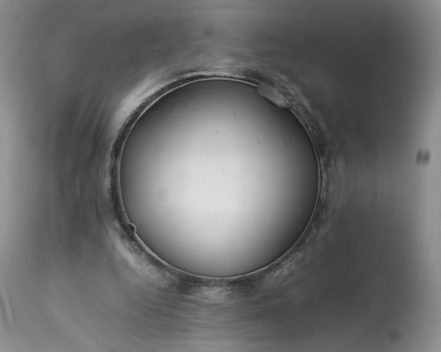 X0000113560344200910021600
