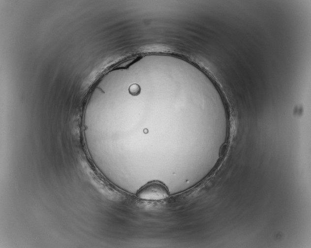 X0000113560345200910021600