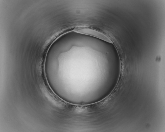 X0000113560346200910021600