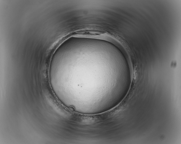 X0000113560347200910021600