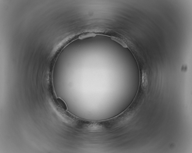 X0000113560348200910021600