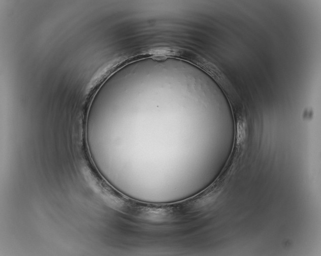 X0000113560349200910021600