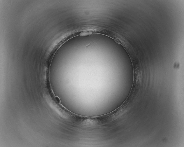 X0000113560350200910021600