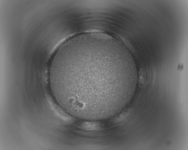 X0000113560351200910021600