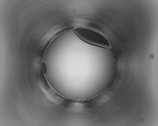 X0000113560352200910021600