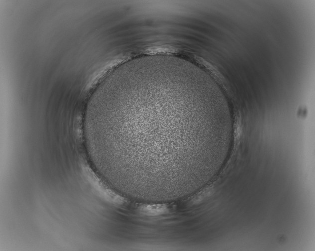 X0000113560353200910021600