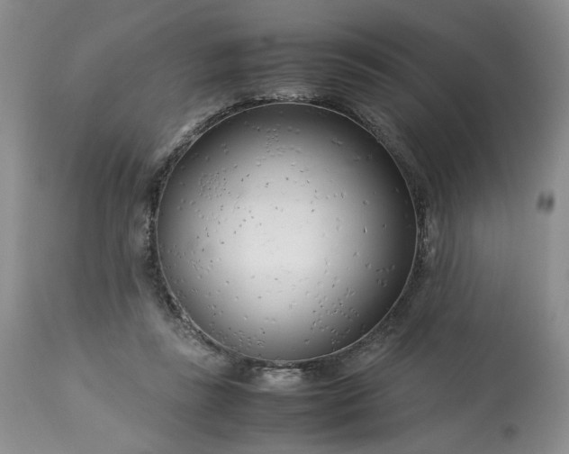 X0000113560355200910021600