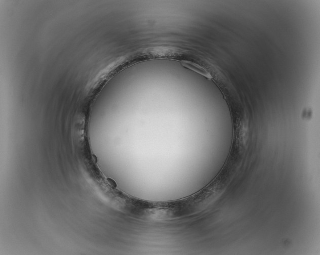 X0000113560356200910021600