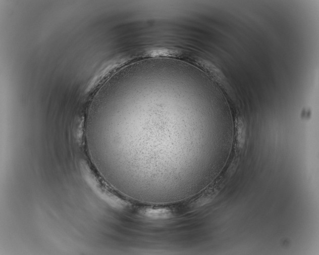 X0000113560357200910021600