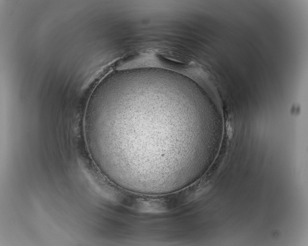 X0000113560359200910021600
