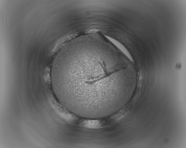 X0000113560361200910021600