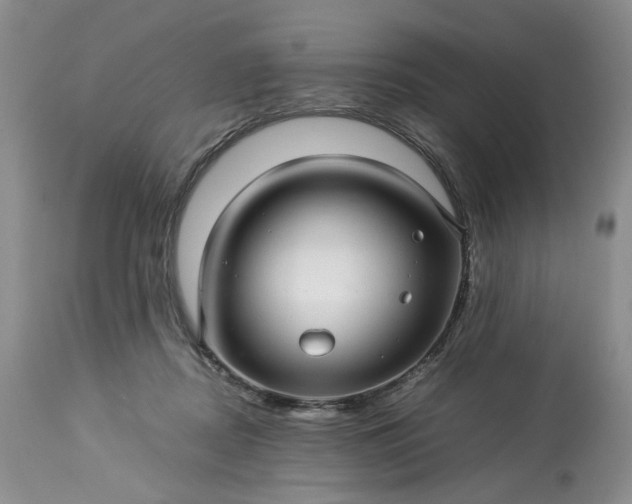 X0000113560362200910021600