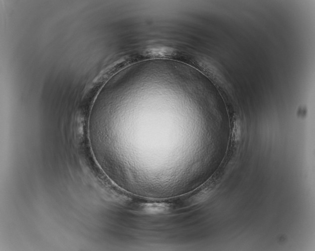 X0000113560363200910021600