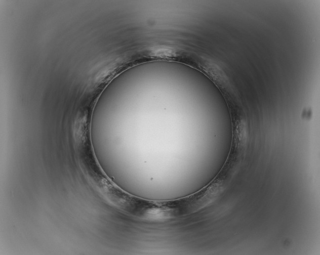 X0000113560364200910021600
