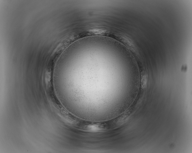 X0000113560365200910021600
