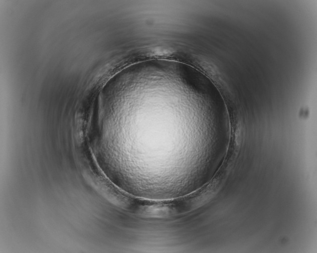 X0000113560366200910021600