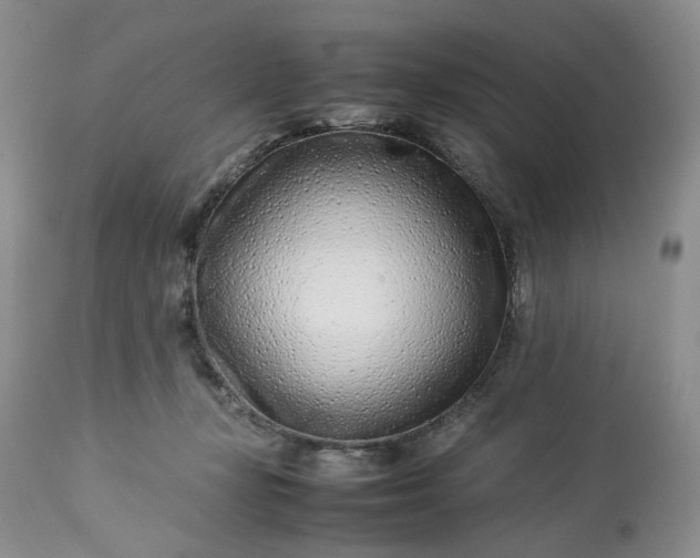 X0000113560367200910021600
