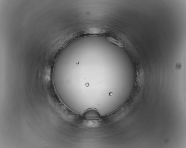 X0000113560368200910021600