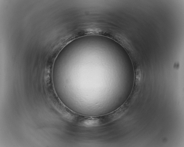 X0000113560369200910021600
