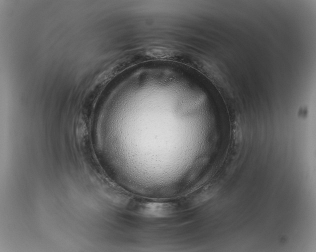 X0000113560371200910021600