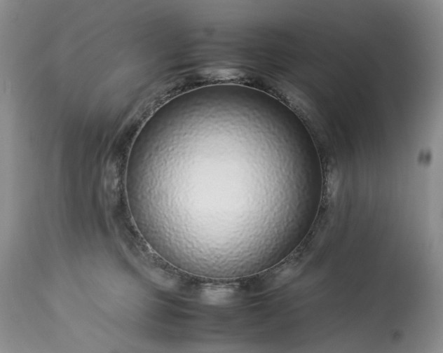 X0000113560373200910021600