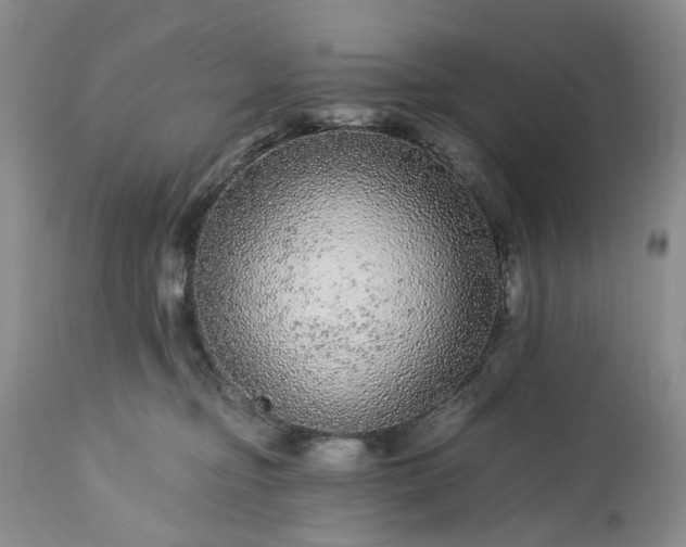 X0000113560374200910021600