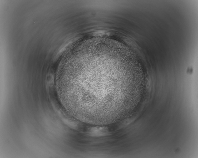 X0000113560375200910021600