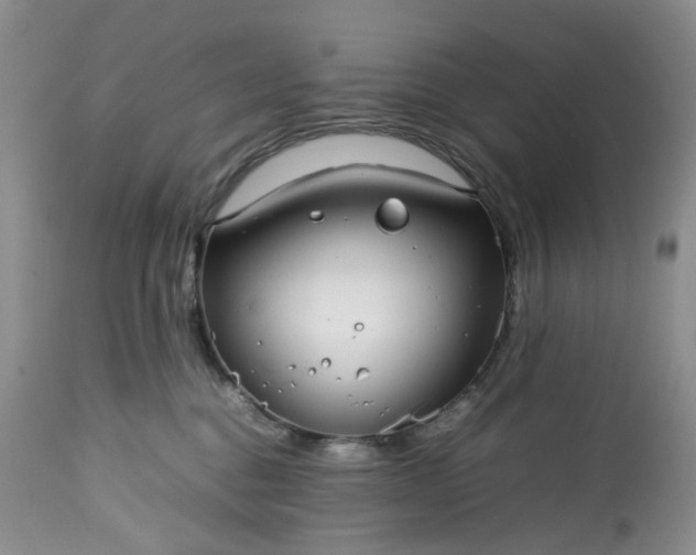 X0000113560376200910021600
