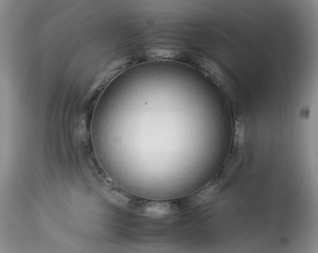 X0000113560377200910021600
