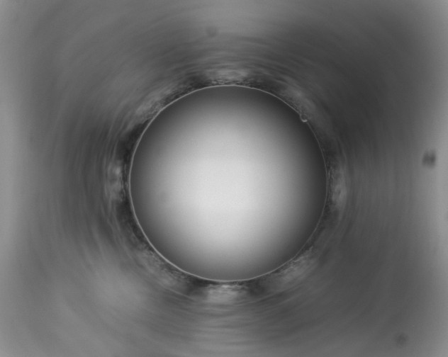 X0000113560378200910021600