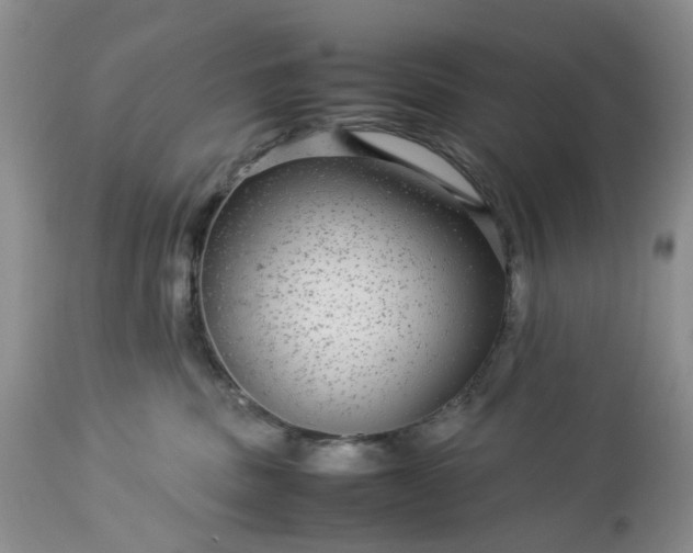 X0000113560379200910021600