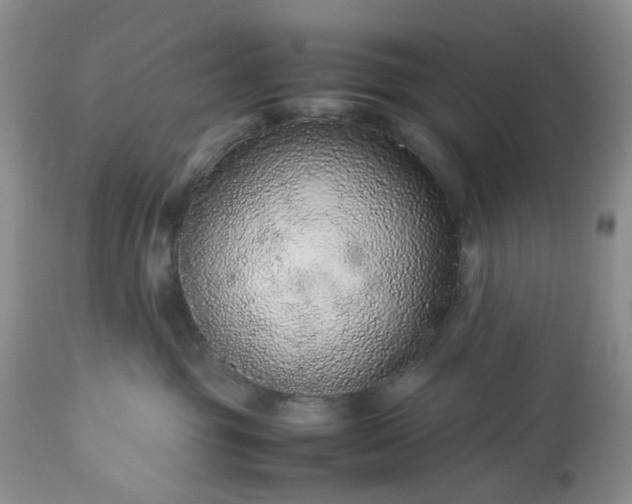 X0000113560381200910021600