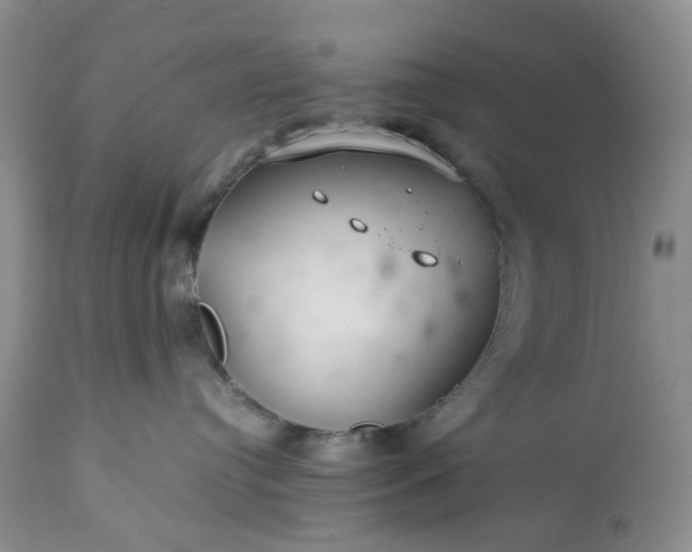 X0000113560384200910021600