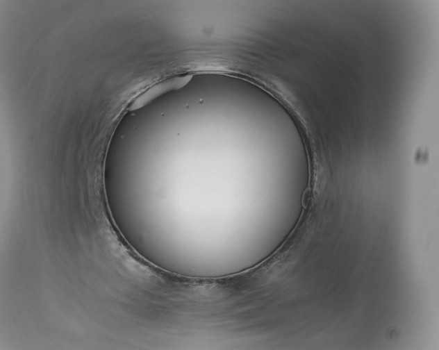 X0000113560385200910021600