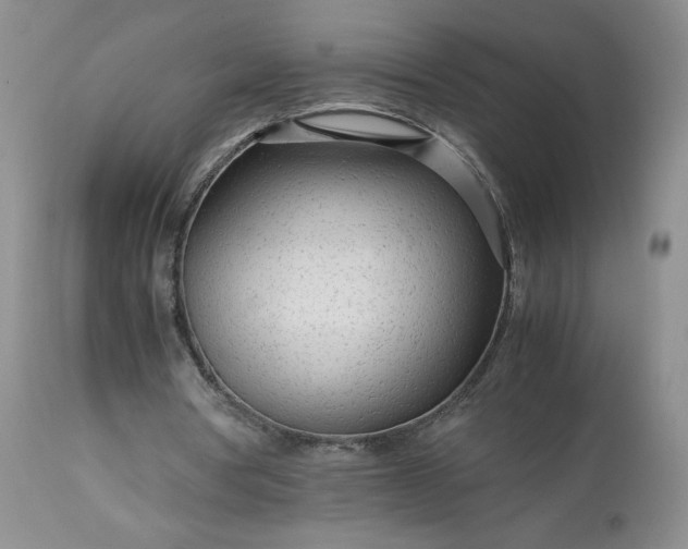 X0000113560386200910021600