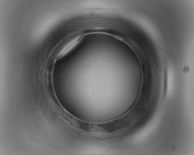 X0000113560387200910021600