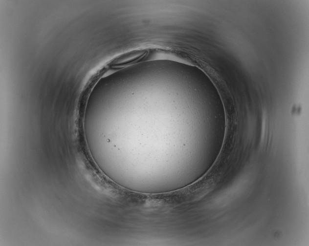 X0000113560388200910021559
