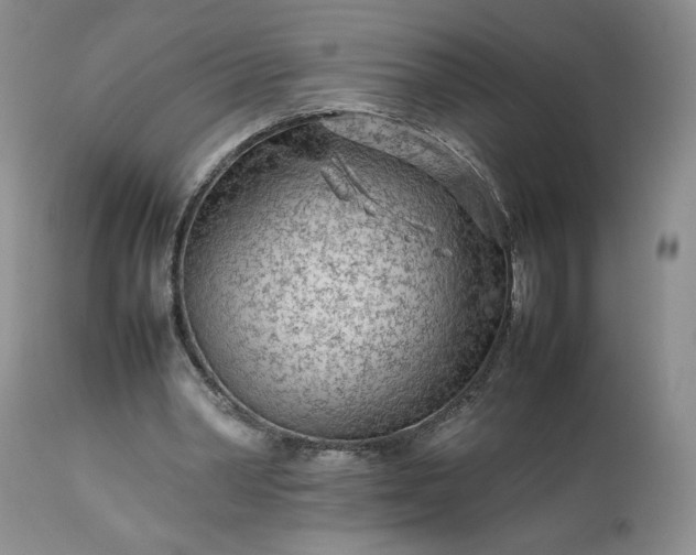 X0000113560390200910021559