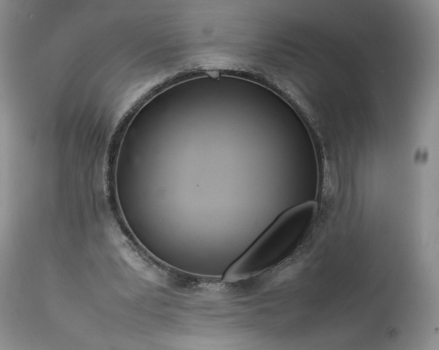 X0000113560391200910021559